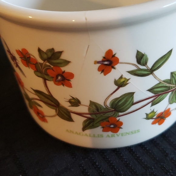 Botanic Gardens Floral Bowl. - Picture 3 of 5